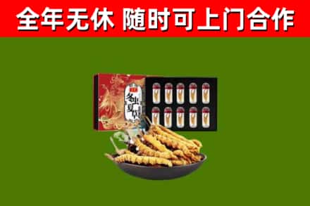 信阳回收冬虫夏草价格